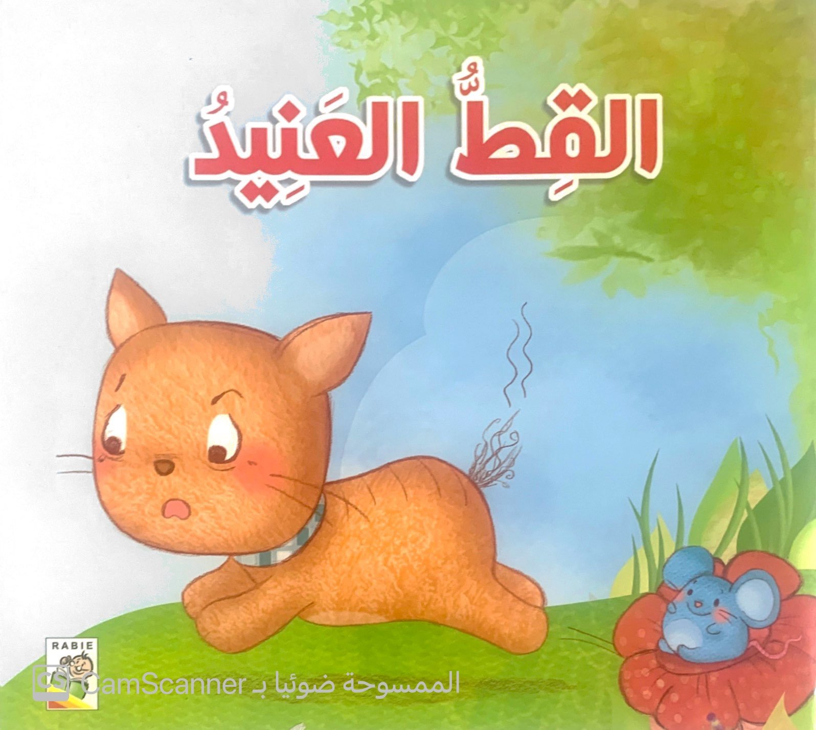 القط العنيد