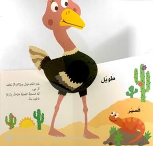 تعلّم مع الأشكال الظاهرة "الأضداد"
