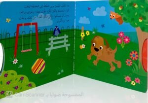 بوبي النّطاط