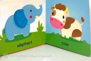 Animals