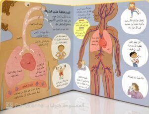 انظر داخل جسمك