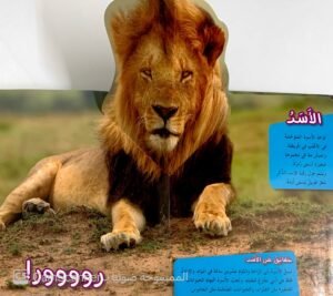 ماذا ترى في رحلة سفاري؟