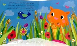 قطقوطة تُحب السّباق والمطاردة