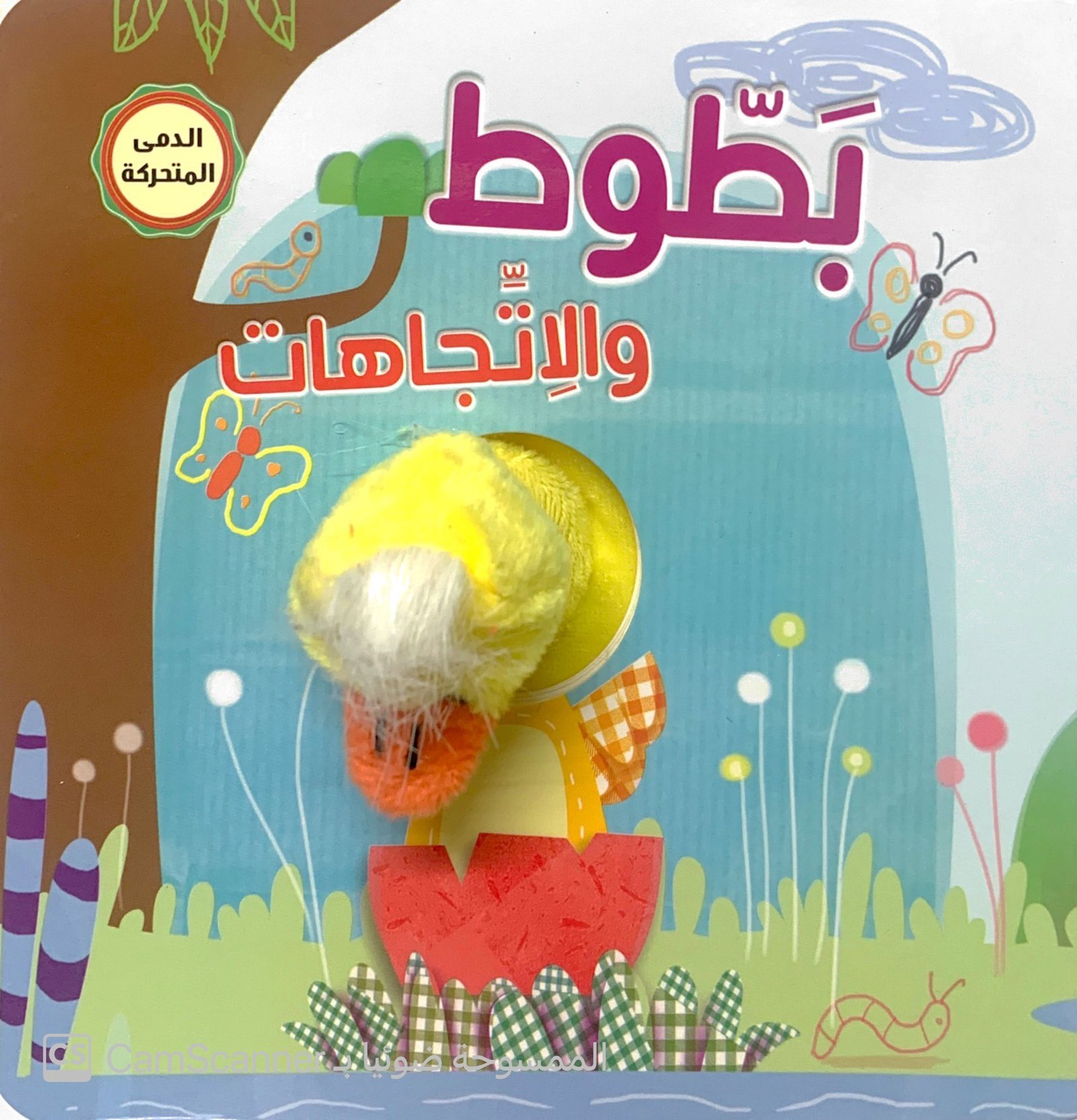 بَطّوط والإتجاهات