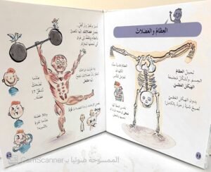 جِسمُ الإنسان