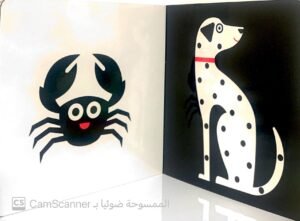 طفل مونتيسوري الحيوانات