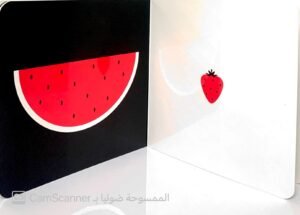 طفل مونتيسوري كبيرٌ أم صغيرٌ؟