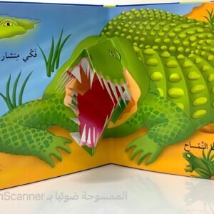 اصدقائي في الغابة