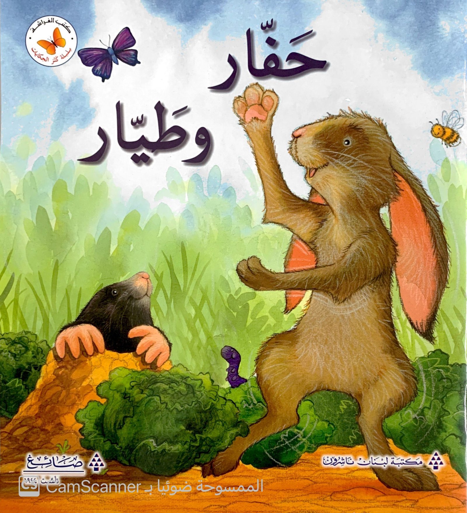 حَفّار وطَيّار