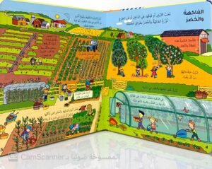 انظر داخل الطعام