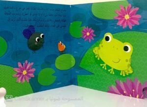 الضفدع النّطاط والذبابة الطَّنانة