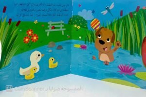 بوبي النّطاط