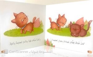 القط العنيد