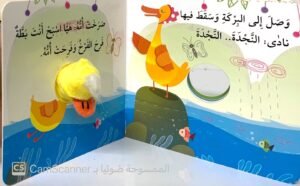 بَطّوط والإتجاهات