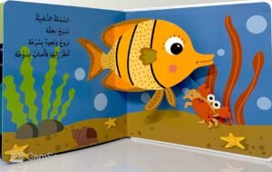 هيا بنا الى المحيط