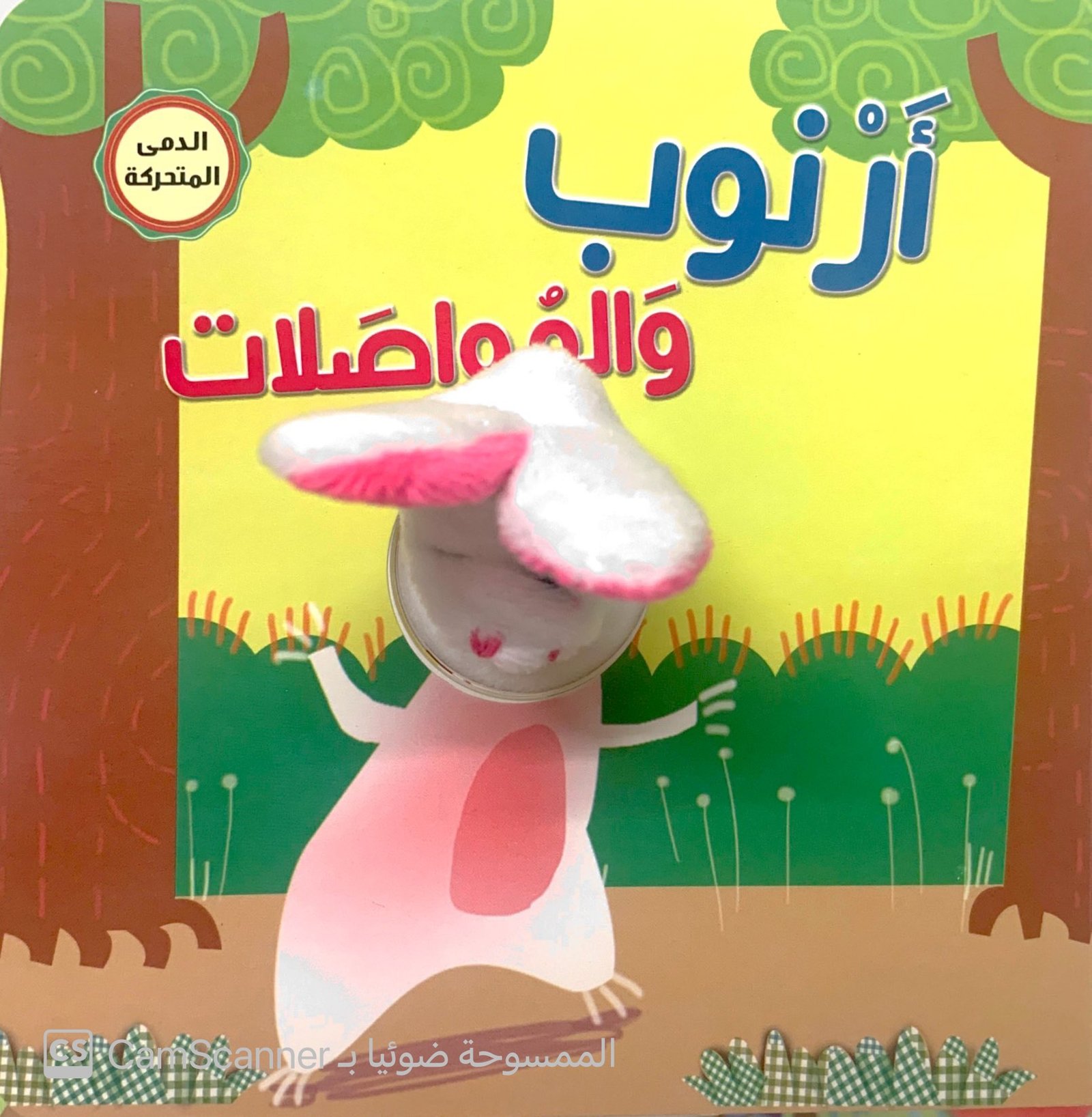 أرنوب والمُواصلات