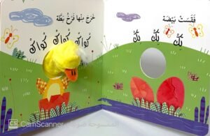 بَطّوط والإتجاهات