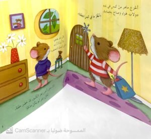 كيس الكنز