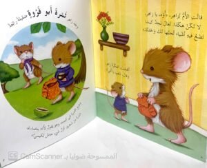 كيس الكنز